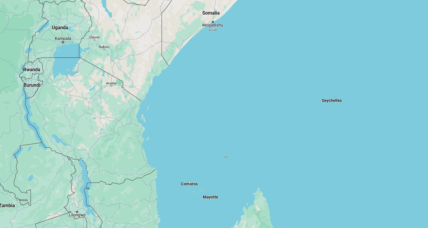 GoogleMap0